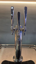 Cargar imagen en el visor de la galería, Kegerator Empotrable