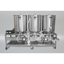 Cargar imagen en el visor de la galería, Blichmann 1 BBL Gas - Sistema Piloto