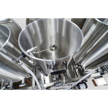 Cargar imagen en el visor de la galería, Blichmann 1 BBL Gas - Sistema Piloto