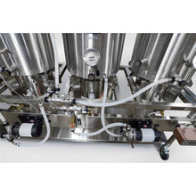 Cargar imagen en el visor de la galería, Blichmann 1 BBL Gas - Sistema Piloto