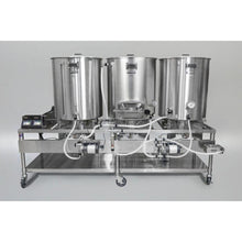 Cargar imagen en el visor de la galería, Blichmann 1 BBL Gas - Sistema Piloto