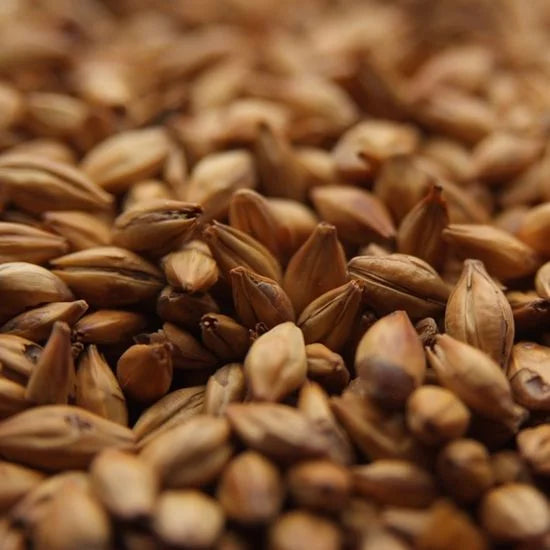Malta Caramel 15L (40 EBC)- Patagonia Malt