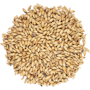 Malta Caramel 55L (150 EBC)- Patagonia Malt