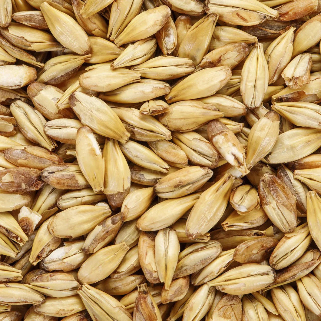 Malta Munich - Patagonia Malt