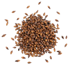 Maltico (Aromatic Coffee Malt) - Schuema