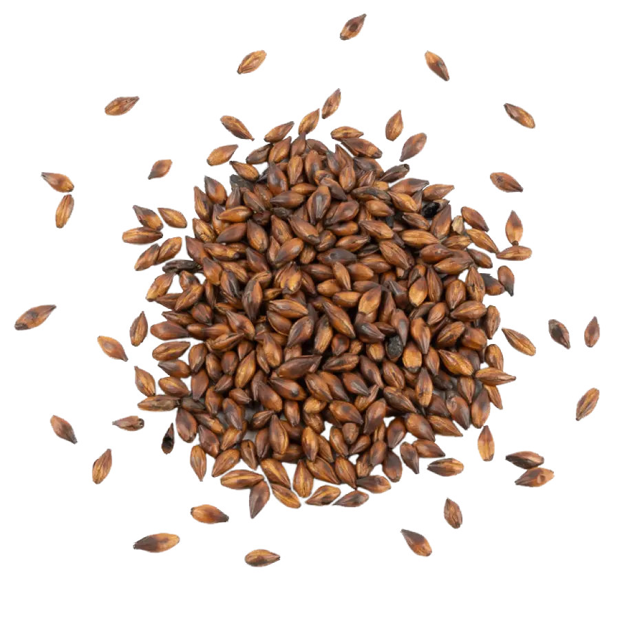 Maltico (Aromatic Coffee Malt) - Schuema