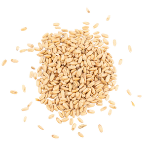Dinkelmalz / Spelt malt - Schuema