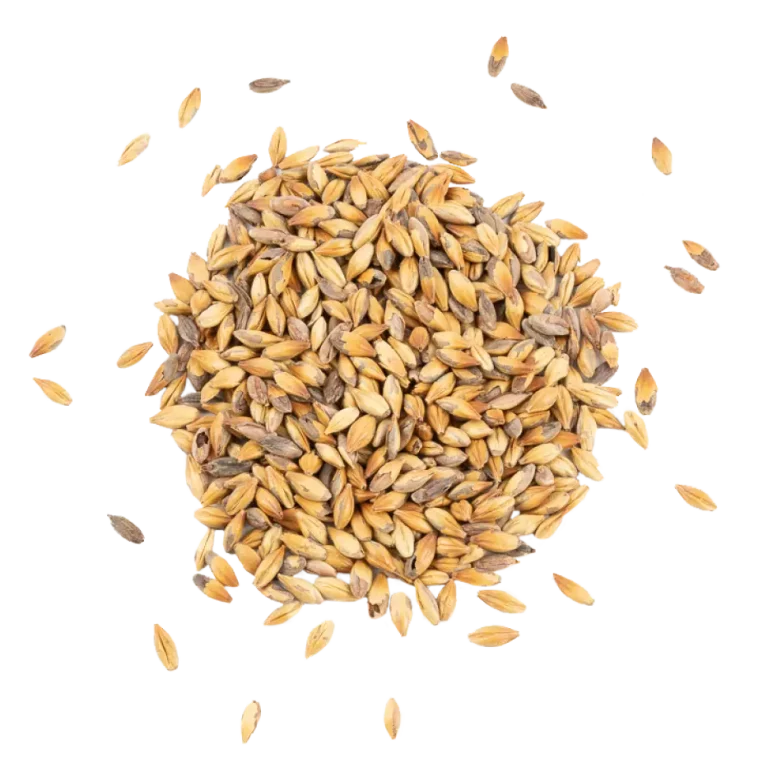 Ca 100-EBC / Caramel 40L - Schuema