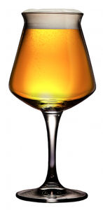 Golden IPA - 5 gal