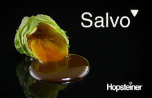 Cargar imagen en el visor de la galería, Lotus - SALVO
