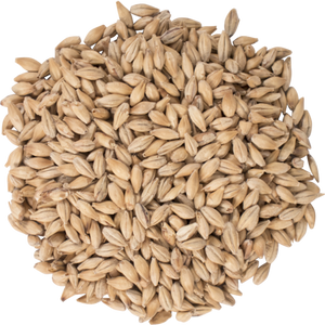 Carapils Malt - Weyermann