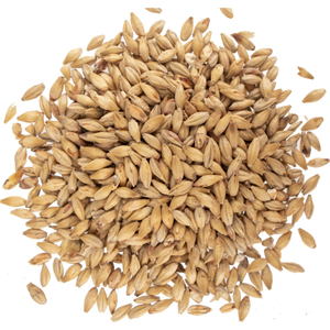 Malta Munich - Patagonia Malt