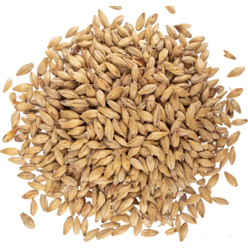 Malta Munich - Patagonia Malt