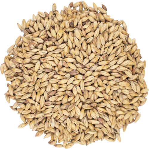 Enzime Malt - Viking Malt