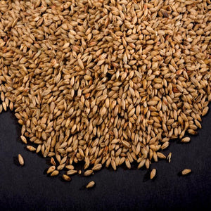 Malta Caramel 80L (200 EBC) - Viking Malt