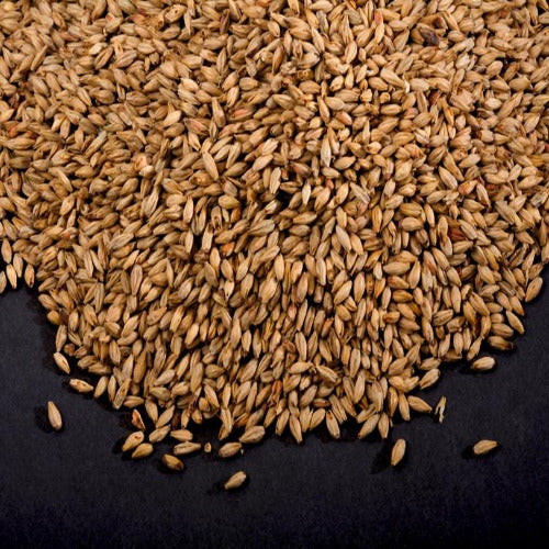 Malta Caramel 60L (150 EBC) - Viking Malt