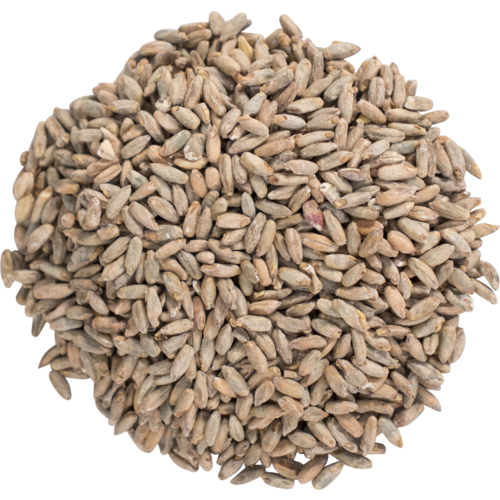 Malta de Centeno (Rye) - Viking Malt