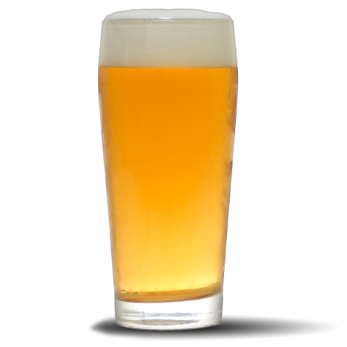 Juicy IPA - 5 gal