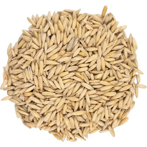 Malta de Avena - Oat Malt - Viking Malt